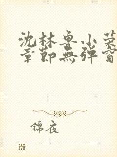 沈林鲁小荣最新章节无弹窗笔趣阁