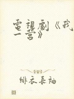 电视剧《我的特一营》