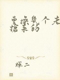 曹操几个老婆是抢来的