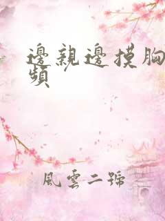 边亲边摸胸的视频