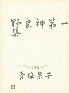 野良神第一季全集