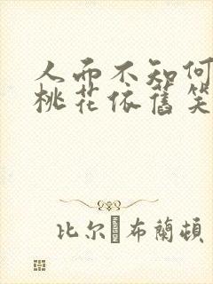 人面不知何处去桃花依旧笑春风翻译 人面不知何处去桃花依旧笑春风翻译