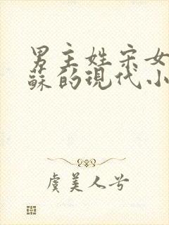 男主姓宋女主姓苏的现代小说