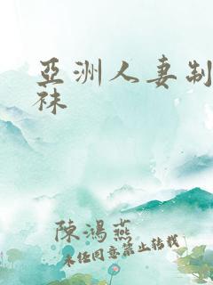 亚洲人妻制服丝袜