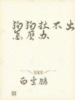 狗狗拉不出屎了怎么办