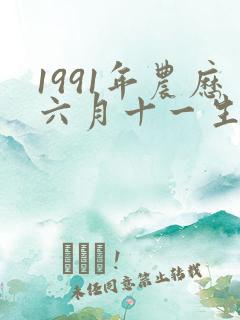 1991年农历六月十一生辰八字