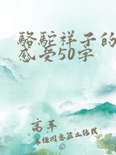骆驼祥子的读后感受50字