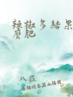 辣椒多结果用什么肥