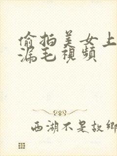 偷拍美女上厕所漏毛视频