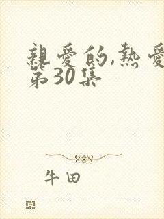 亲爱的,热爱的第30集
