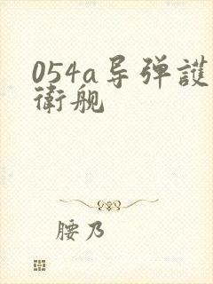 054a导弹护卫舰