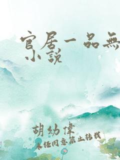 官居一品无弹窗 小说
