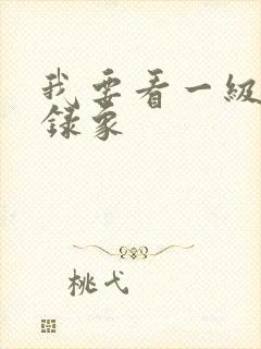 我要看一级黄色录象