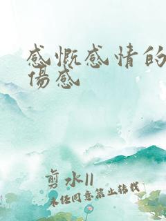 感慨感情的句子伤感