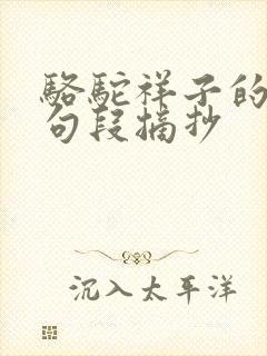骆驼祥子的精彩句段摘抄