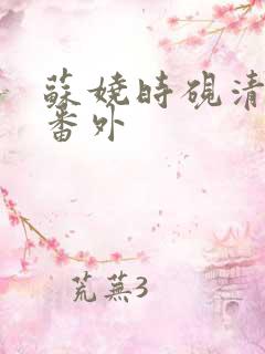 苏娆时砚清后续番外 苏娆时砚清后续番外