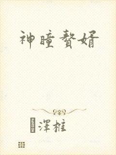 神瞳赘婿