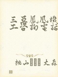三亚凤凰机场人工咨询电话