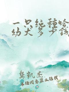 一只纯种哈士奇幼犬多少钱