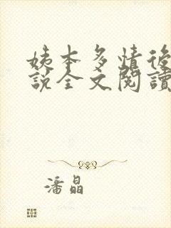 姨本多情后宫小说全文阅读免费
