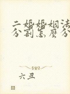 二婚婚姻法财产分割怎么分