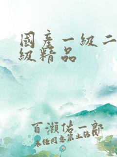 国产一级二级三级精品