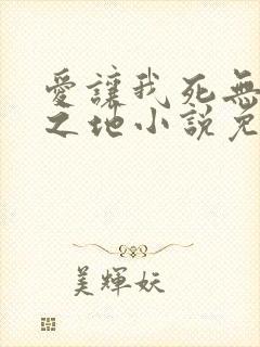 爱让我死无葬身之地小说免费阅读