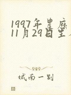 1997年农历11月29日生人八字