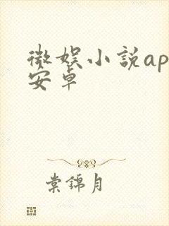 微娱小说app安卓