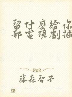 留什么给你是哪部电视剧插曲