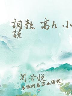 调教 高h 小说