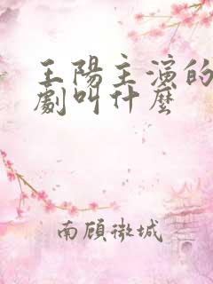 王阳主演的谍战剧叫什么
