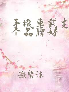手机车载支架哪个品牌好