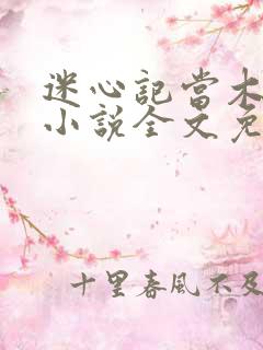 迷心记当木当泽小说全文免费阅读