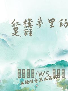 红楼梦里的贾蓉是谁