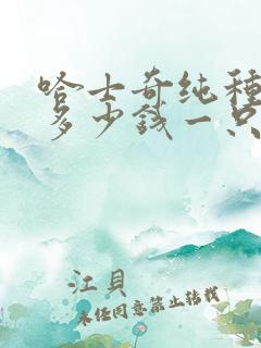 哈士奇纯种价格多少钱一只 哈士奇纯种价格多少钱一只