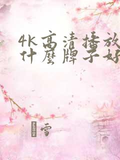 4k高清播放器什么牌子好