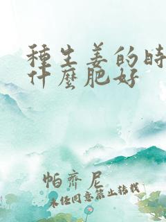 种生姜的时候用什么肥好