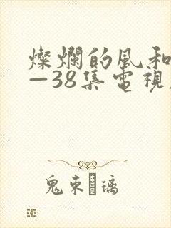 灿烂的风和海1—38集电视剧