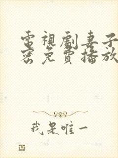 电视剧妻子的秘密免费播放