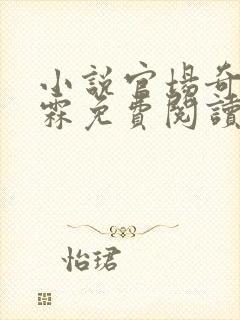 小说官场奇才李霖免费阅读