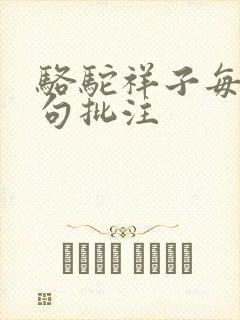 骆驼祥子每章好句批注