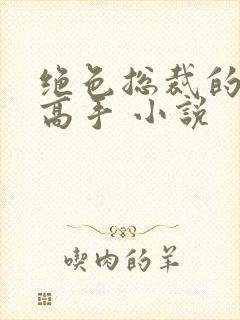 绝色总裁的超级高手 小说