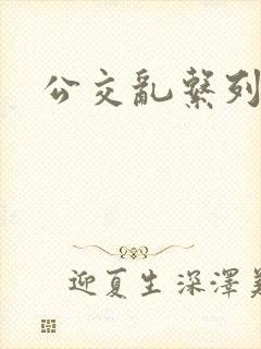 公交乱系列小说