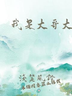 我是大哥大下载