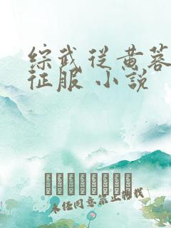 综武从黄蓉开始征服 小说