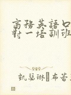 商务英语口语一对一培训班