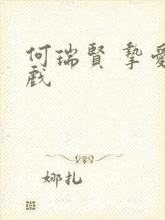 何瑞贤 挚爱游戏