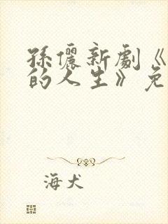 孙俪新剧《蛮好的人生》免费观看