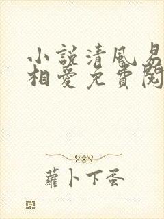 小说清风易散难相爱免费阅读